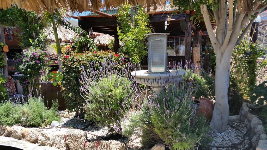 Bed and Breakfast Casa Giuliana à Charco del Pino Extérieur photo